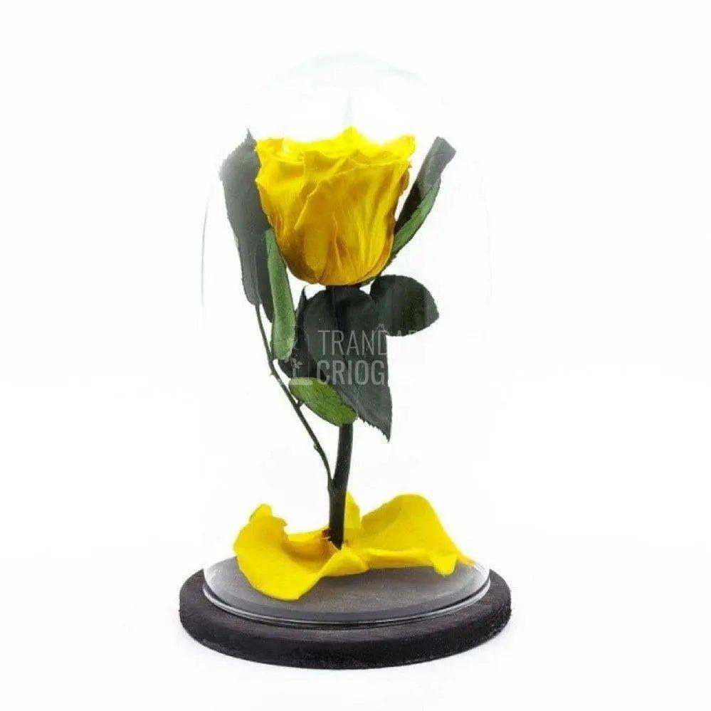 Trandafir Criogenat galben Ø6,5cm in cupola de sticla 12x25cm - Trandafir-Criogenat.ro