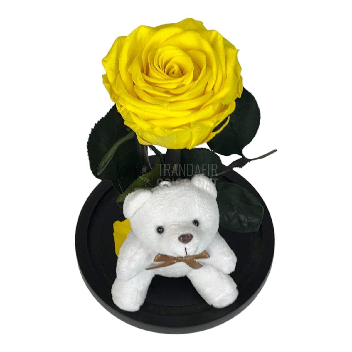 Trandafir Criogenat galben Ø8cm in cupola sticla cu Ursulet - Trandafir-Criogenat.ro