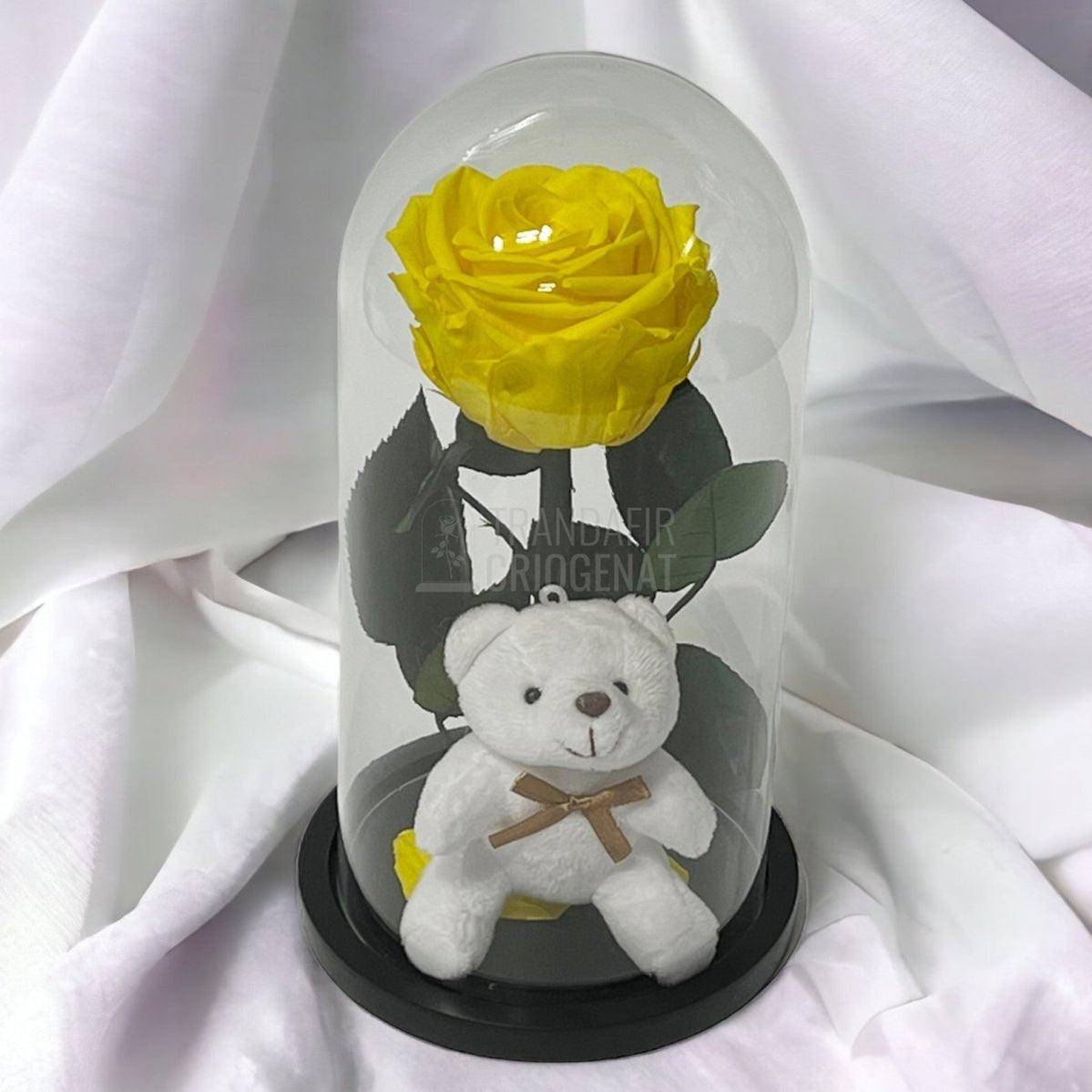 Trandafir Criogenat galben Ø8cm in cupola sticla cu Ursulet - Trandafir-Criogenat.ro