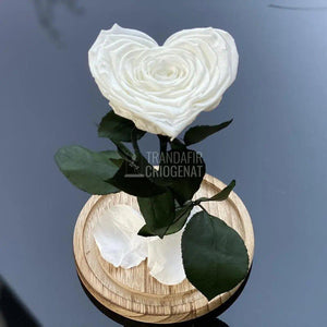 Trandafir Criogenat inima alb Ø9cm in cupola 12x25cm - Trandafir-Criogenat.ro