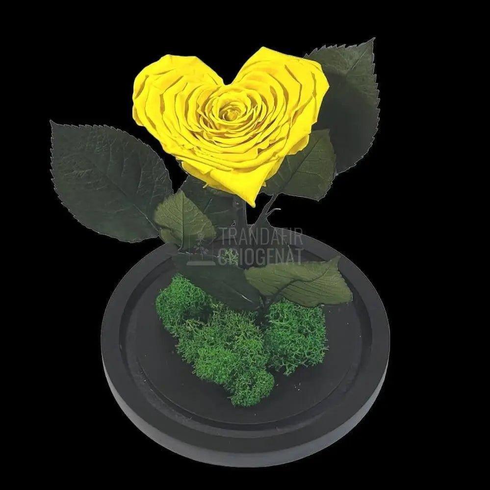 Trandafir Criogenat inima galbena Ø9cm in cupola 12x25cm - Trandafir-Criogenat.ro