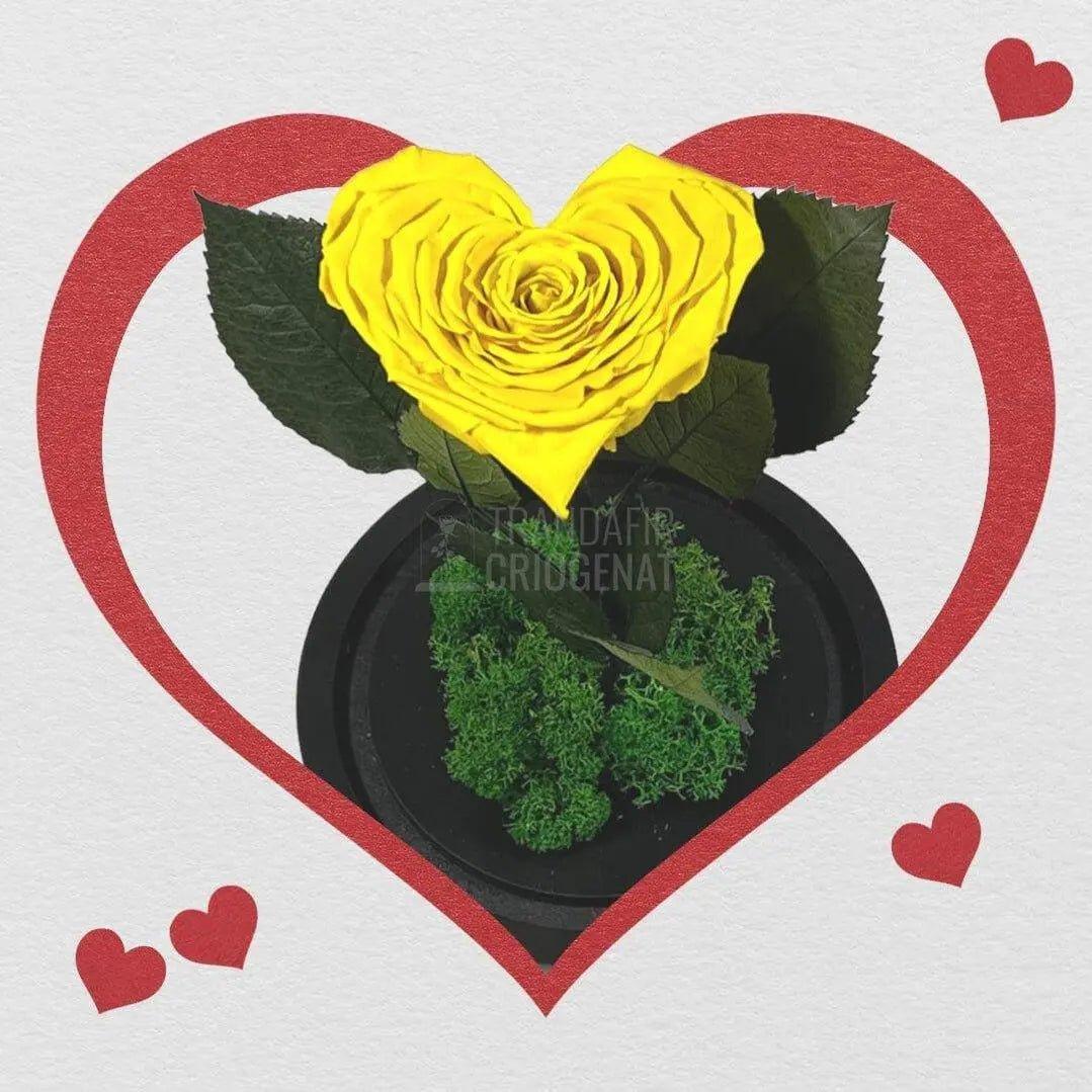 Trandafir Criogenat inima galbena Ø9cm in cupola 12x25cm - Trandafir-Criogenat.ro