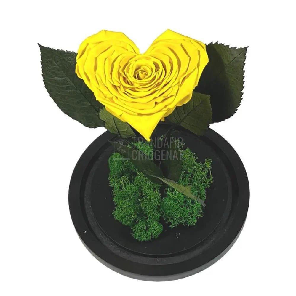 Trandafir Criogenat inima galbena Ø9cm in cupola 12x25cm - Trandafir-Criogenat.ro