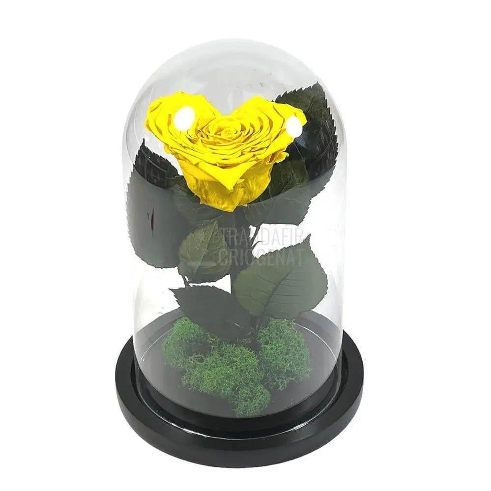 Trandafir Criogenat inima galbena Ø9cm in cupola 12x25cm - Trandafir-Criogenat.ro