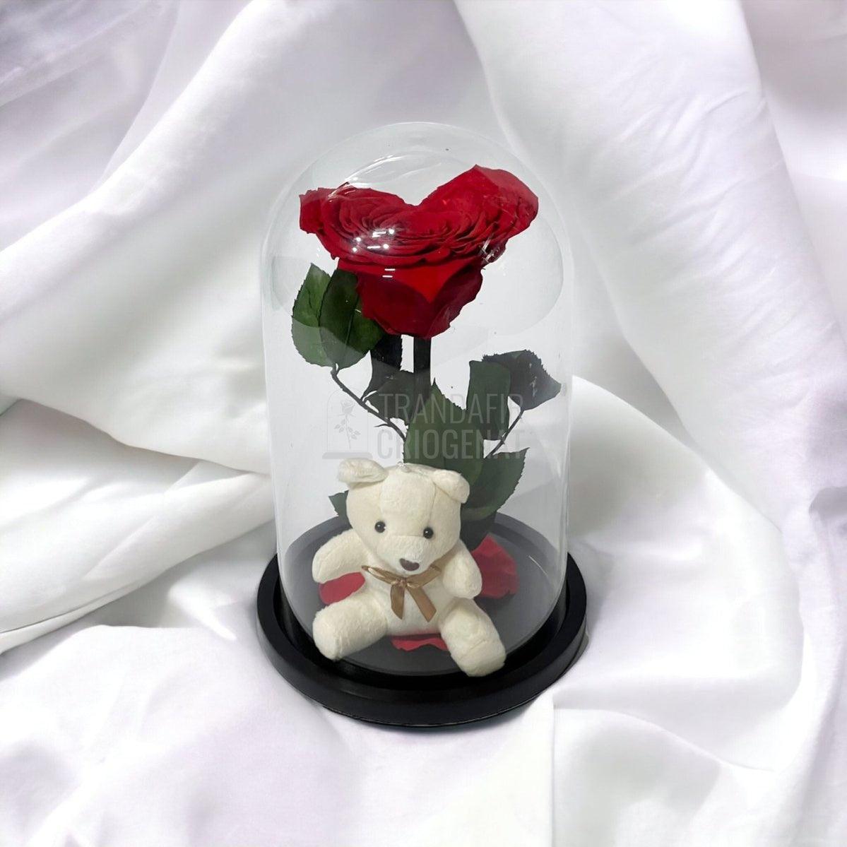 Trandafir Criogenat inima rosie in cupola sticla cu Ursulet - Trandafir-Criogenat.ro