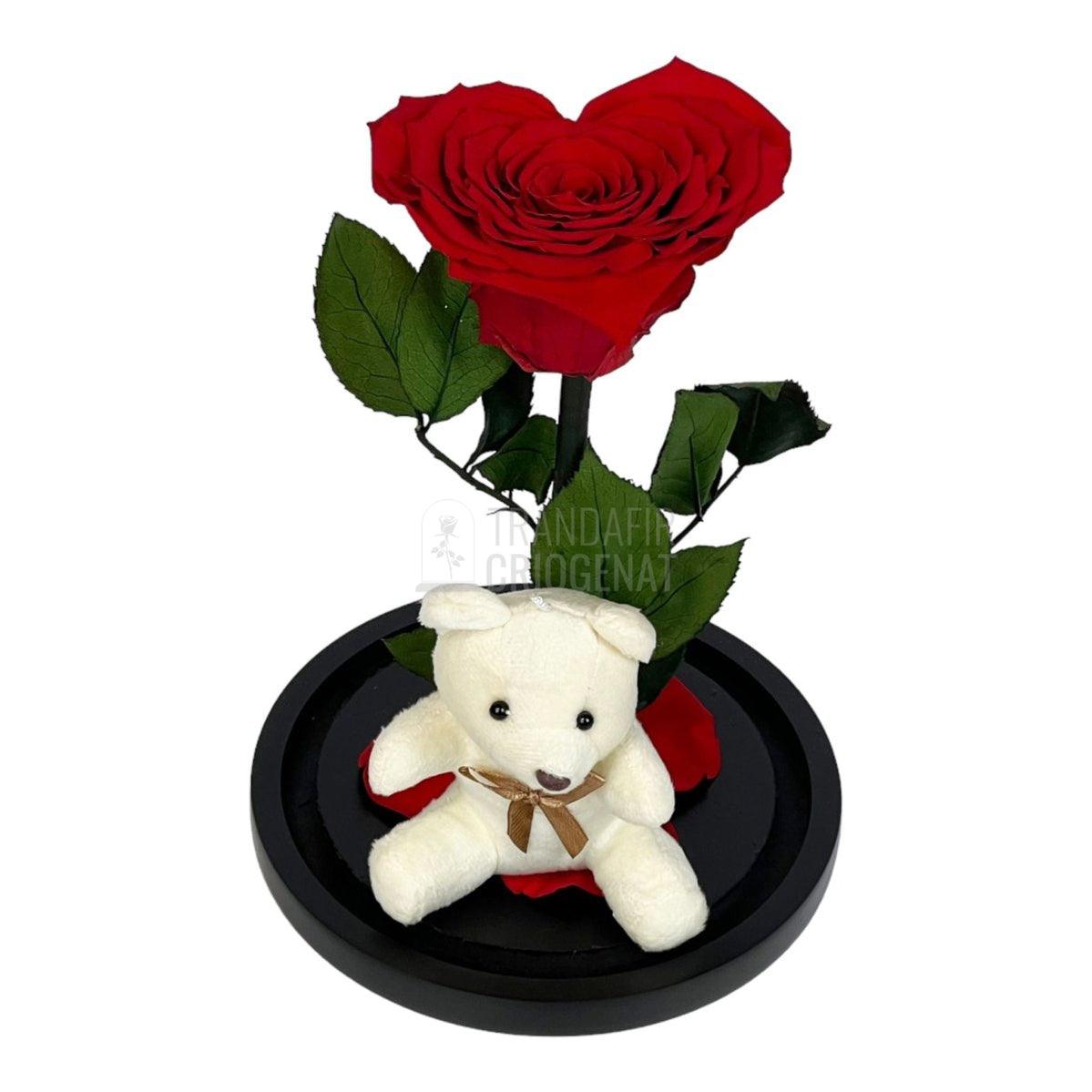 Trandafir Criogenat inima rosie in cupola sticla cu Ursulet - Trandafir-Criogenat.ro