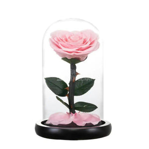 Trandafir Criogenat inima roz Ø8cm in cupola 10x20cm - Trandafir-Criogenat.ro
