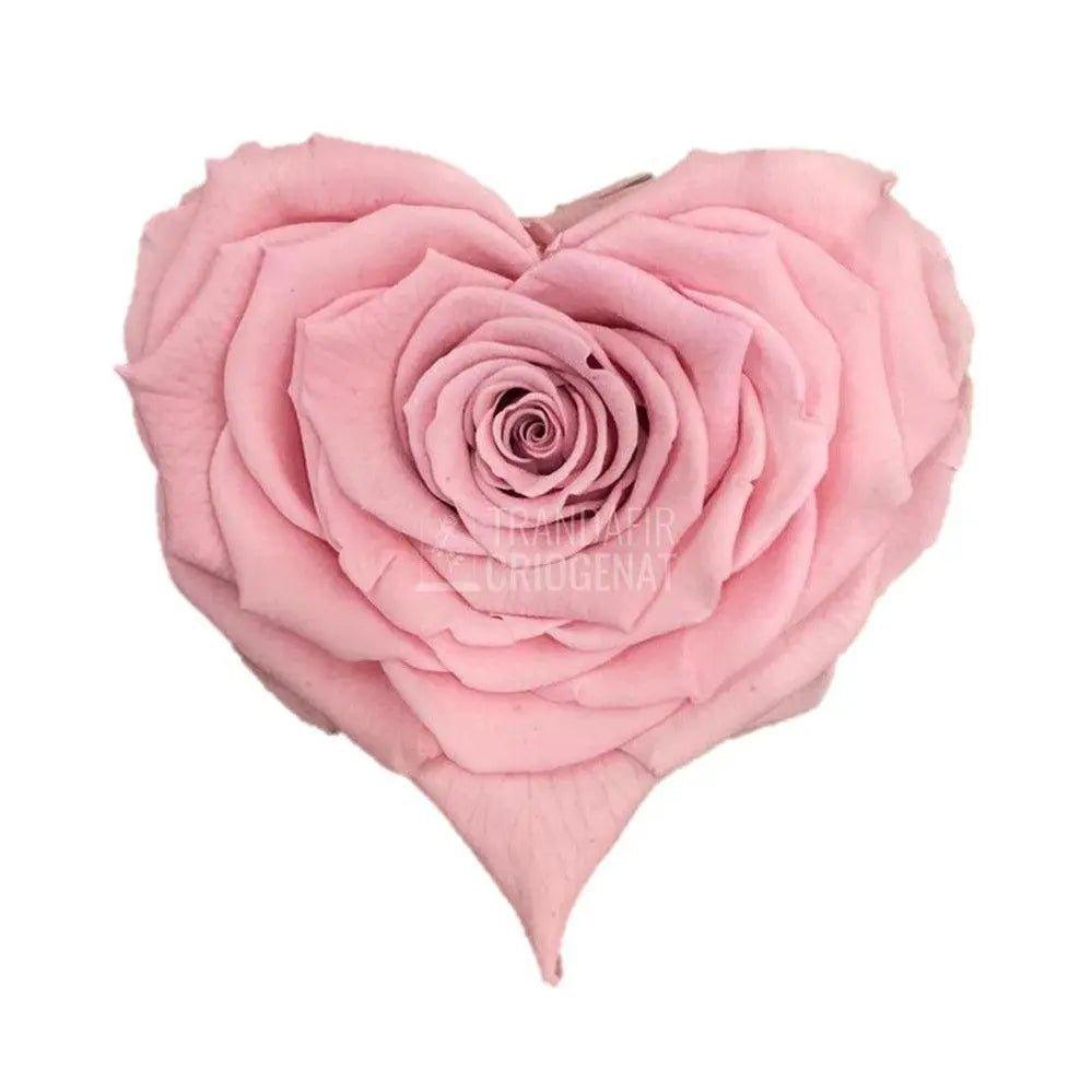 Trandafir Criogenat inima roz Ø8cm in cupola 10x20cm - Trandafir-Criogenat.ro