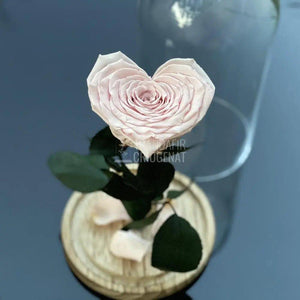 Trandafir Criogenat inima roz pal Ø9cm in cupola 12x25cm - Trandafir-Criogenat.ro