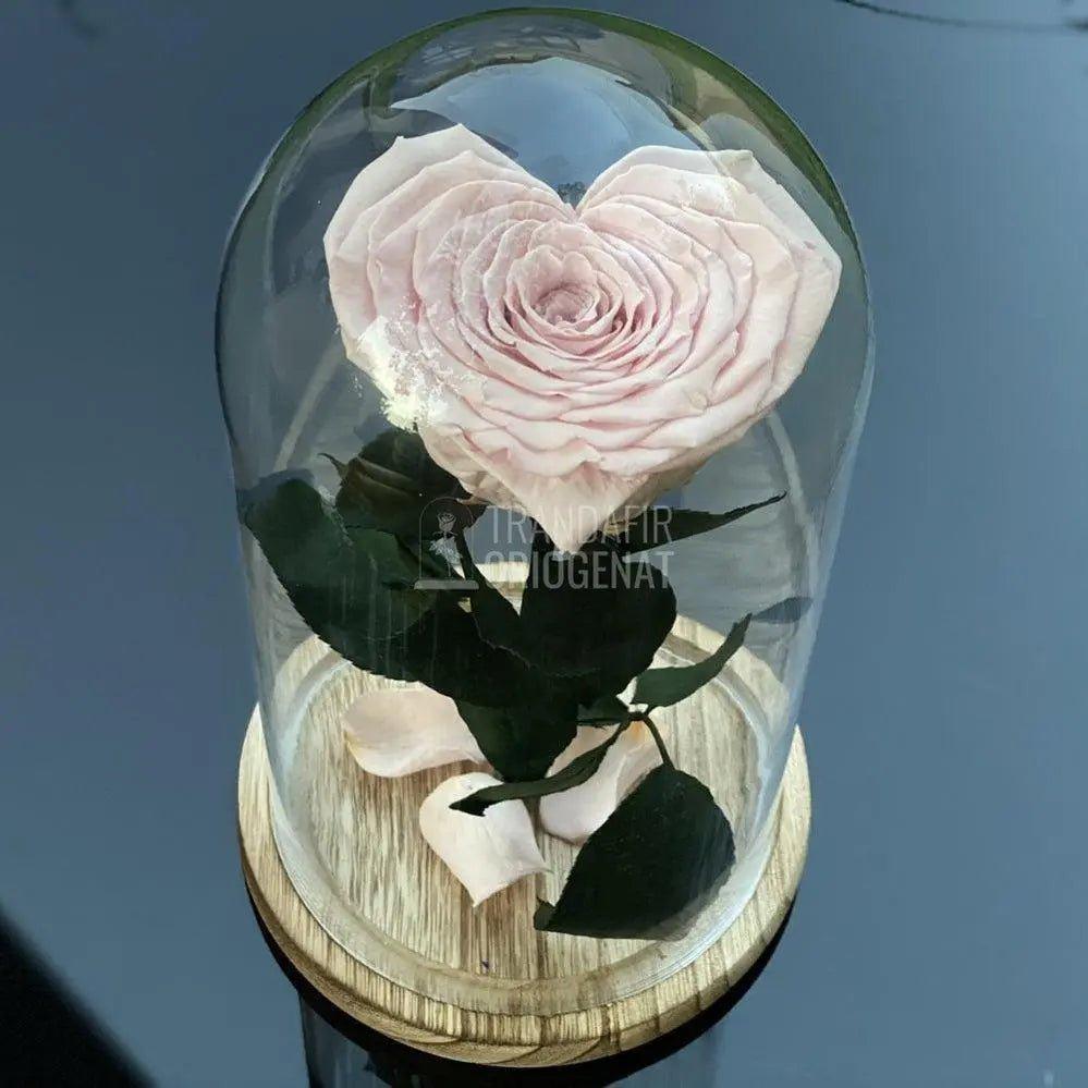 Trandafir Criogenat inima roz pal Ø9cm in cupola 12x25cm - Trandafir-Criogenat.ro