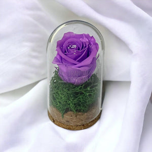Trandafir Criogenat lila in cupola de sticla 5x9,5cm (marturie) - Trandafir-Criogenat.ro
