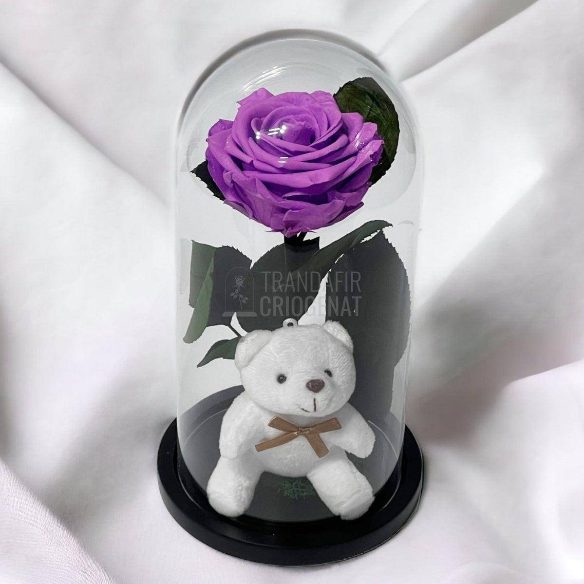Trandafir Criogenat lila intens Ø8cm in cupola sticla cu Ursulet - Trandafir-Criogenat.ro