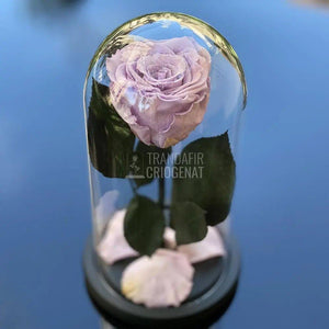 Trandafir Criogenat lila Ø6,5cm in cupola sticla marime 10x20cm - Trandafir-Criogenat.ro
