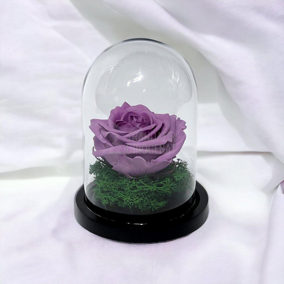 Trandafir Criogenat lila Ø8cm in cupola de sticla 10x15cm - Trandafir-Criogenat.ro