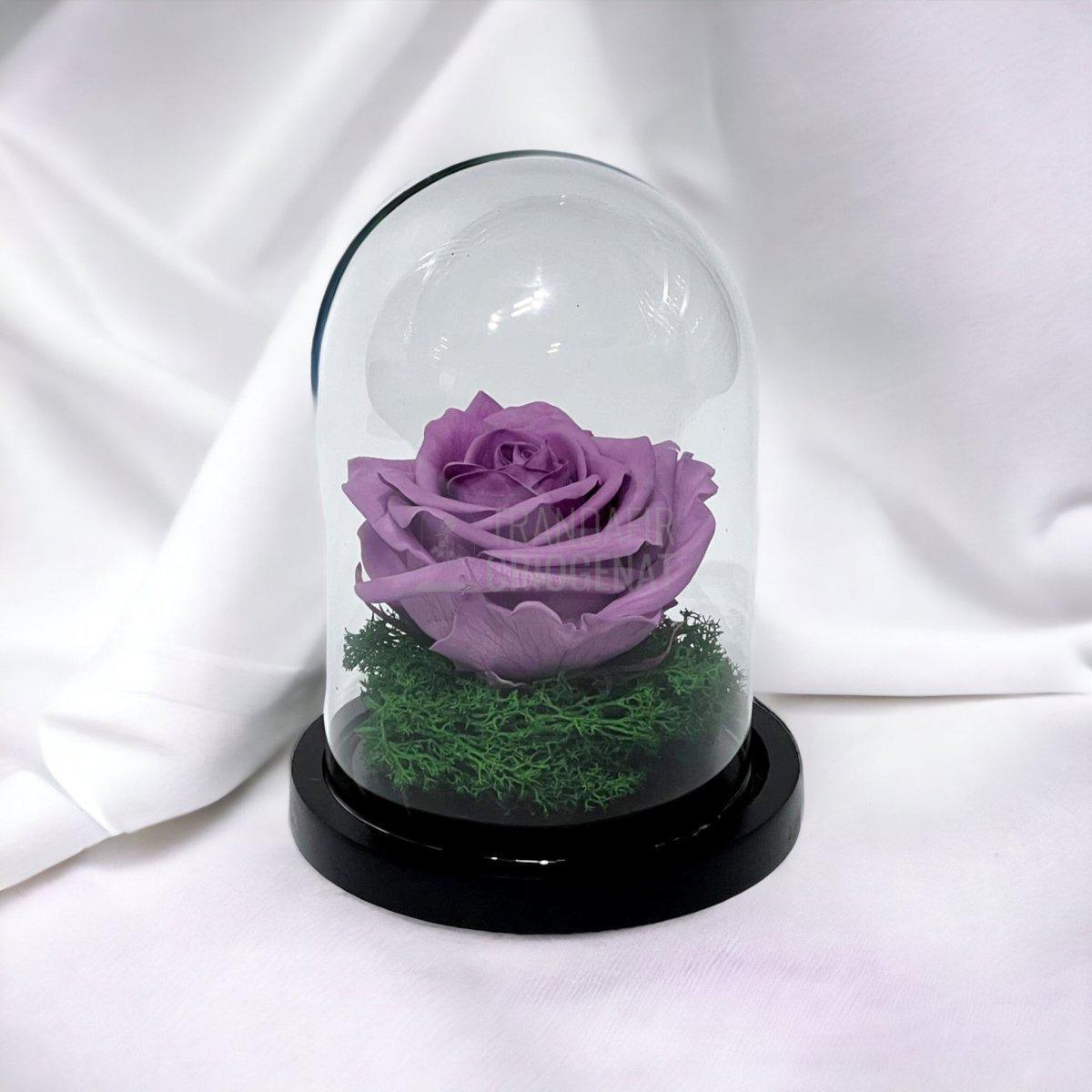 Trandafir Criogenat lila Ø8cm in cupola de sticla 10x15cm - Trandafir-Criogenat.ro