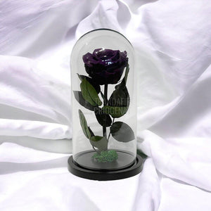 Trandafir Criogenat mov inchis Ø8cm in cupola de sticla, cu mesaj - Trandafir-Criogenat.ro