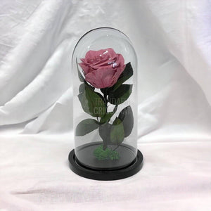 Trandafir Criogenat mov pudrat Ø8cm in cupola de sticla, cu mesaj - Trandafir-Criogenat.ro