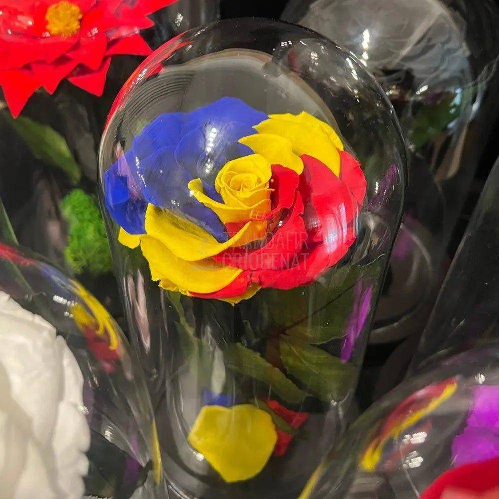 Trandafir Criogenat multicolor steag Romania in cupola de sticla - Trandafir-Criogenat.ro