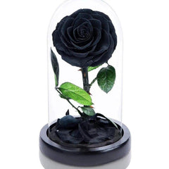Trandafir Criogenat negru bonita Ø9,5cm in cupola 12x25cm - Trandafir-Criogenat.ro