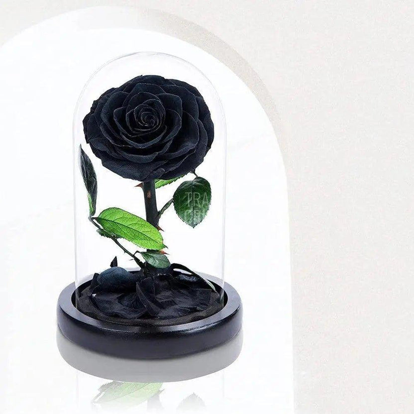 Trandafir Criogenat negru bonita Ø9,5cm in cupola 12x25cm - Trandafir-Criogenat.ro