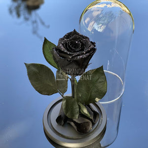 Trandafir Criogenat negru cu sclipici Ø6,5cm in cupola 10x20cm - Trandafir-Criogenat.ro