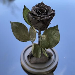 Trandafir Criogenat negru cu sclipici Ø6,5cm in cupola 10x20cm - Trandafir-Criogenat.ro