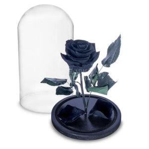 Trandafir Criogenat negru Ø6,5cm in cupola sticla 10x20cm - Trandafir-Criogenat.ro