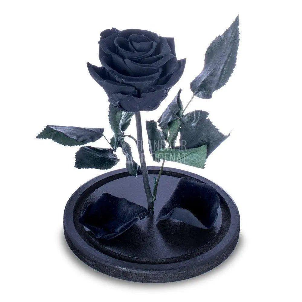 Trandafir Criogenat negru Ø6,5cm in cupola sticla 10x20cm - Trandafir-Criogenat.ro