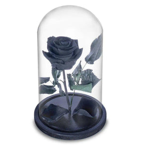 Trandafir Criogenat negru Ø6,5cm in cupola sticla 10x20cm - Trandafir-Criogenat.ro
