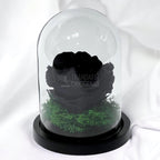 Trandafir Criogenat negru Ø8cm in cupola de sticla 10x15cm - Trandafir-Criogenat.ro