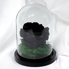 Trandafir Criogenat negru Ø8cm in cupola de sticla 10x15cm - Trandafir-Criogenat.ro