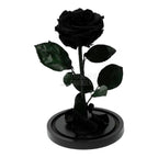 Trandafir Criogenat negru Ø8cm in cupola de sticla, cu mesaj - Trandafir-Criogenat.ro