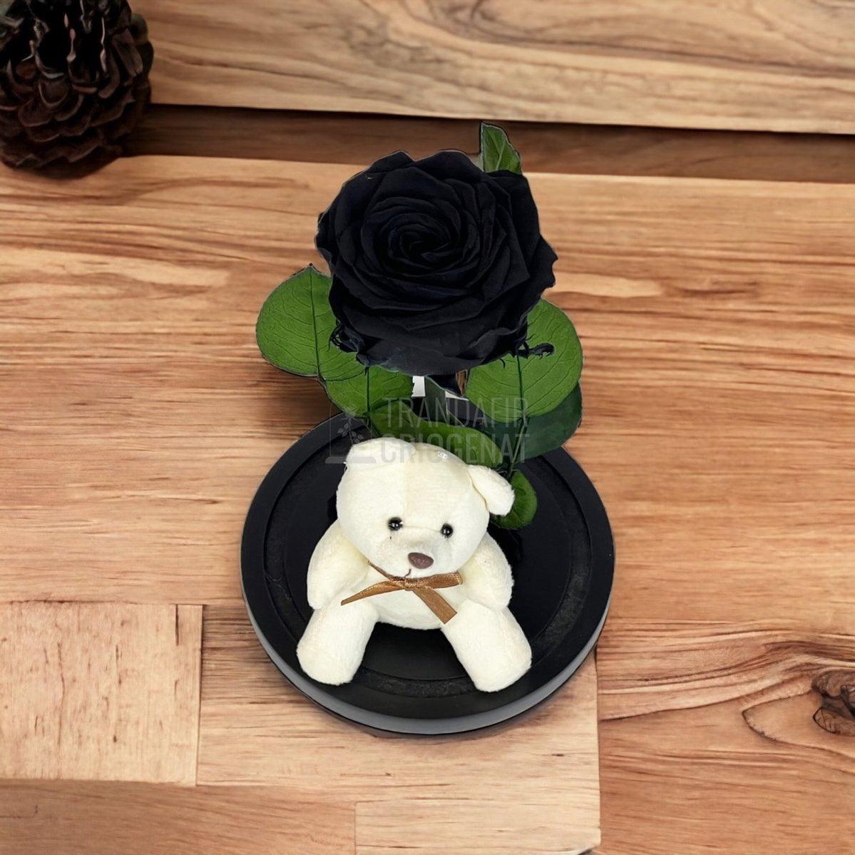 Trandafir Criogenat negru Ø8cm in cupola de sticla cu Ursulet - Trandafir-Criogenat.ro
