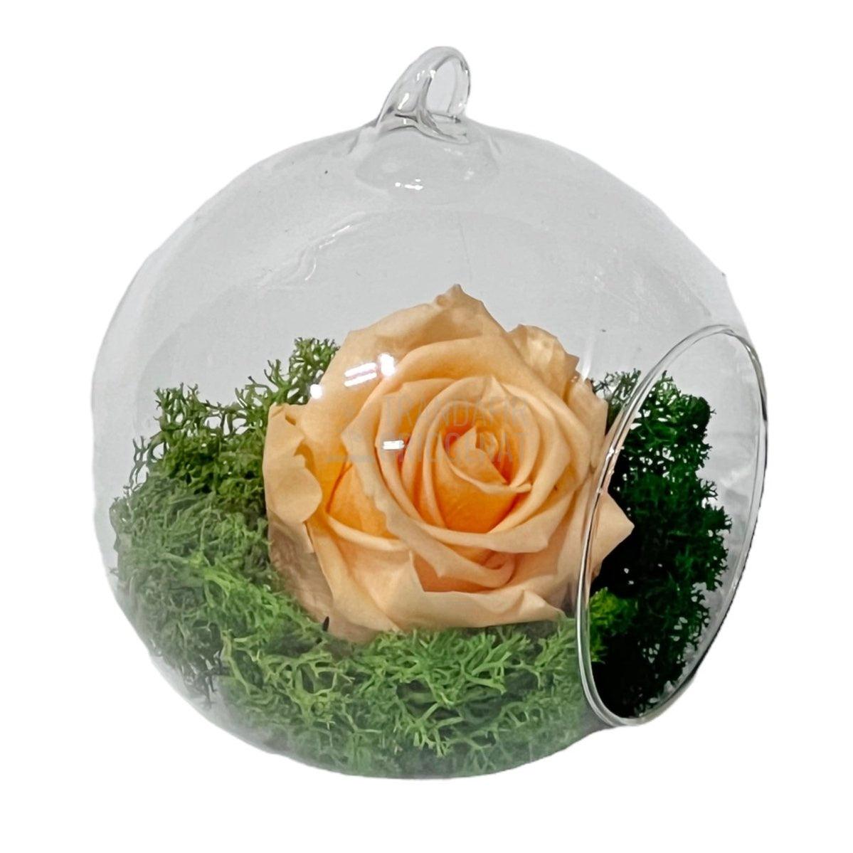 Trandafir Criogenat piersica in glob de sticla Ø10cm - Trandafir-Criogenat.ro