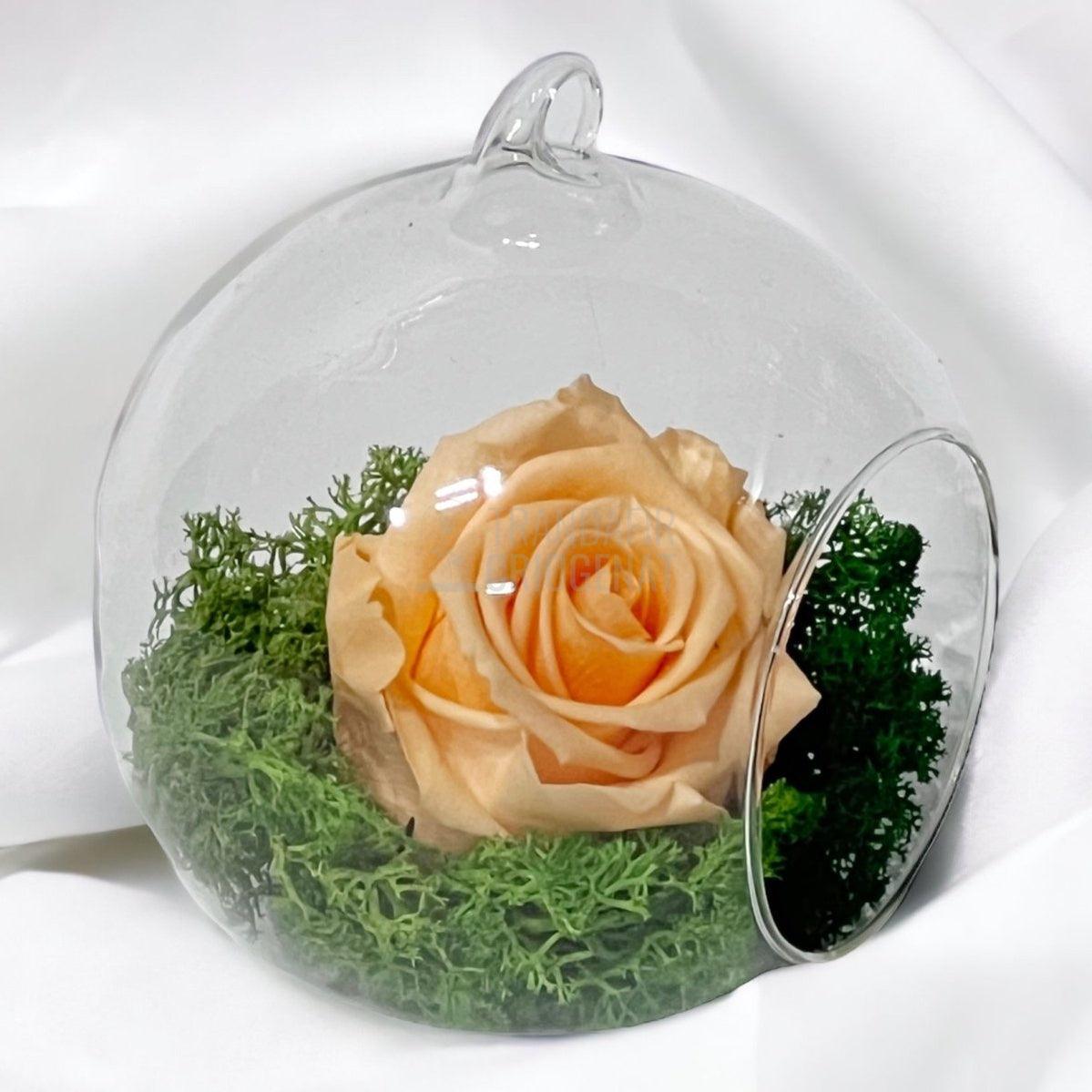 Trandafir Criogenat piersica in glob de sticla Ø10cm - Trandafir-Criogenat.ro