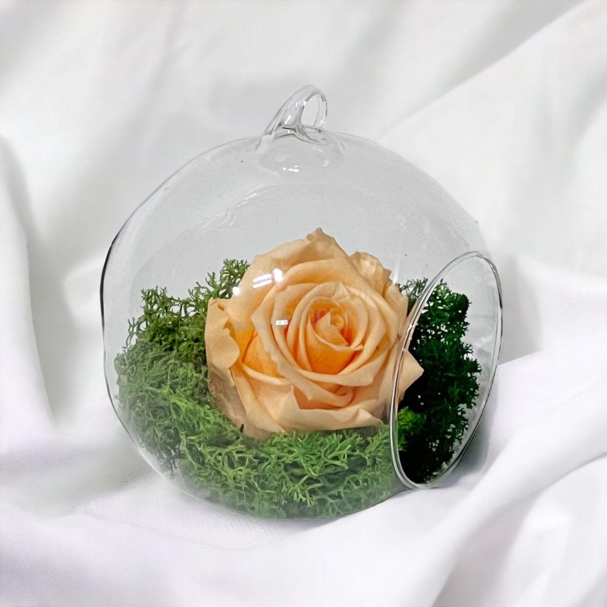 Trandafir Criogenat piersica in glob de sticla Ø10cm - Trandafir-Criogenat.ro
