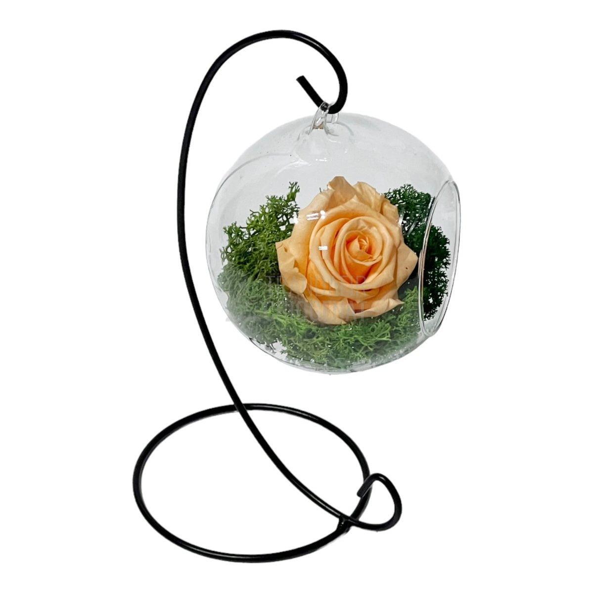 Trandafir Criogenat piersica in glob sticla suspendat Ø10cm - Trandafir-Criogenat.ro