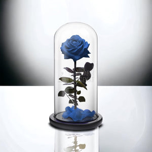 Trandafir Criogenat premium albastru Ø8cm in cupola 12x25cm - Trandafir-Criogenat.ro