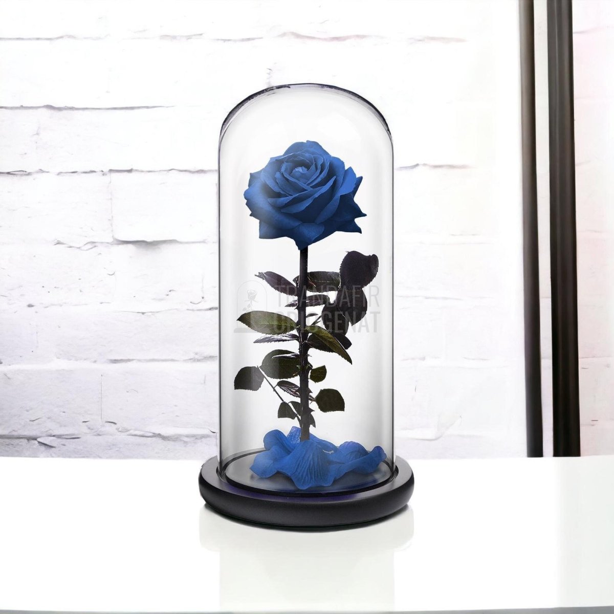 Trandafir Criogenat premium albastru Ø8cm in cupola 12x25cm - Trandafir-Criogenat.ro