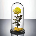 Trandafir Criogenat premium galben Ø8cm in cupola 12x25cm - Trandafir-Criogenat.ro