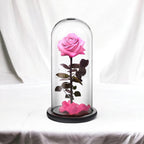 Trandafir Criogenat premium roz Ø8cm in cupola sticla 12x25cm - Trandafir-Criogenat.ro
