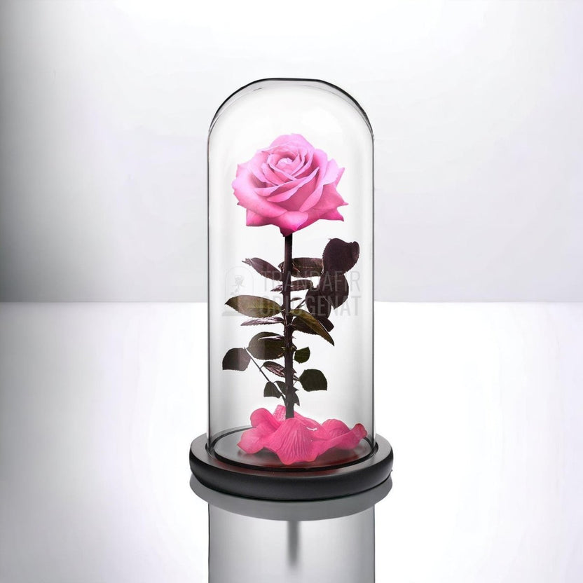 Trandafir Criogenat premium roz Ø8cm in cupola sticla 12x25cm - Trandafir-Criogenat.ro
