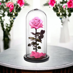 Trandafir Criogenat premium roz Ø8cm in cupola sticla 12x25cm - Trandafir-Criogenat.ro