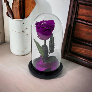 Trandafir Criogenat purpuriu deschis Ø6,5cm in cupola sticla - Trandafir-Criogenat.ro