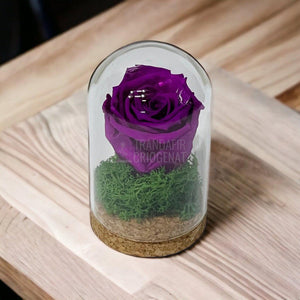 Trandafir Criogenat purpuriu in cupola de sticla 7x12cm (marturie) - Trandafir-Criogenat.ro