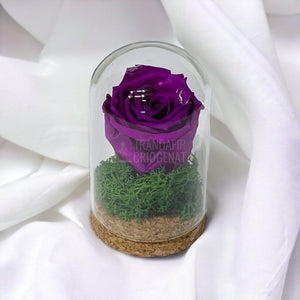 Trandafir Criogenat purpuriu in cupola de sticla 7x12cm (marturie) - Trandafir-Criogenat.ro
