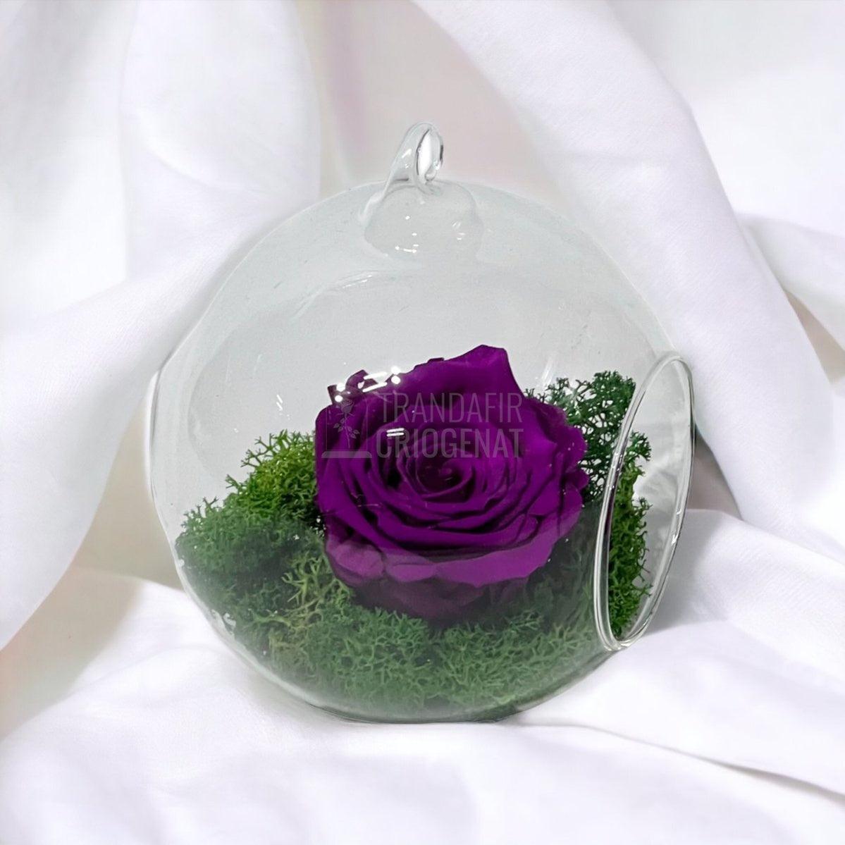 Trandafir Criogenat purpuriu in glob de sticla Ø12cm - Trandafir-Criogenat.ro