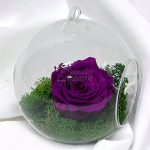 Trandafir Criogenat purpuriu in glob de sticla Ø12cm - Trandafir-Criogenat.ro