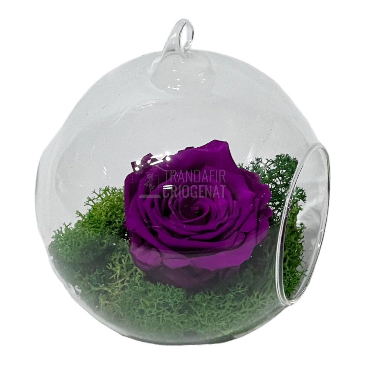 Trandafir Criogenat purpuriu in glob de sticla Ø12cm - Trandafir-Criogenat.ro