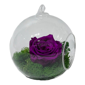 Trandafir Criogenat purpuriu in glob de sticla Ø12cm - Trandafir-Criogenat.ro